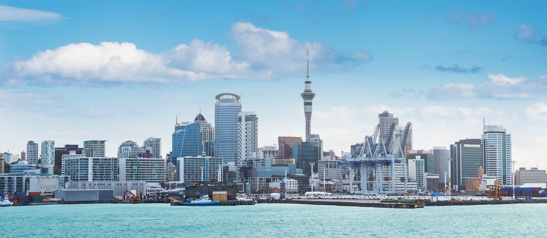 Auckland city skyline with the Sky Tower, seen across the harbour, with port cranes and wharves along the water